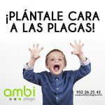 empresas de fumigación en málaga