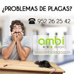 control de plagas en Málaga