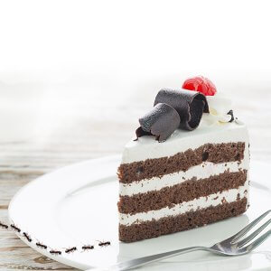 fumigar en málaga precio hormigas