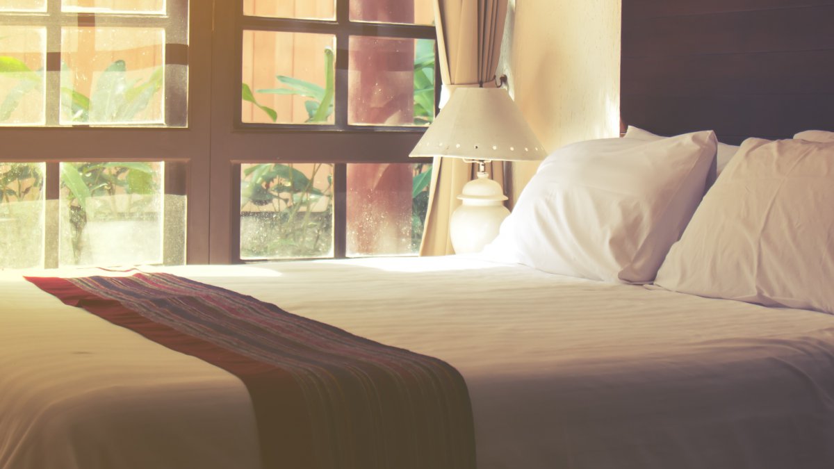 fumigación de chinches en málaga