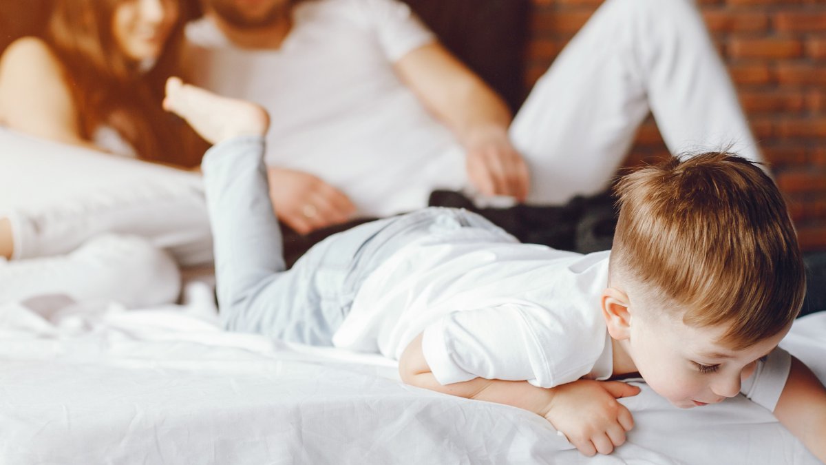 eliminar plagas en málaga