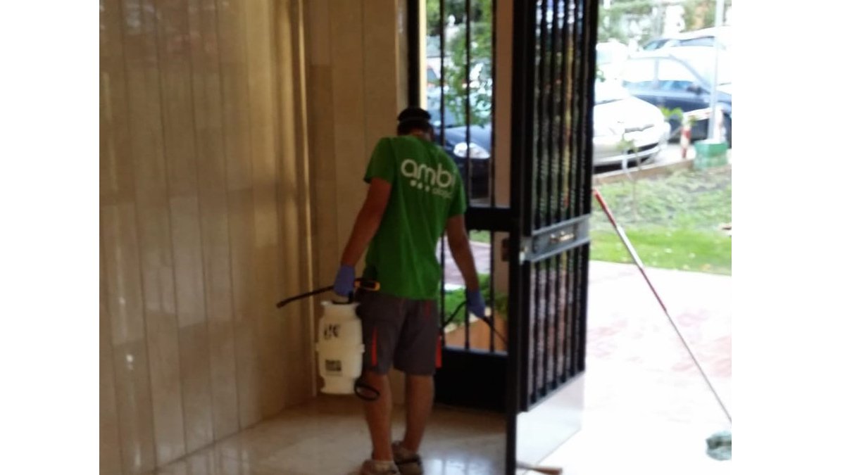 fumigador de cucarachas